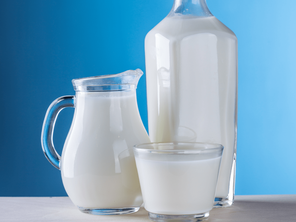 Milchprodukte sind die Grundlage der Kefir-Diät